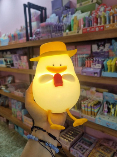 شبخواب سیلیکونی اردک